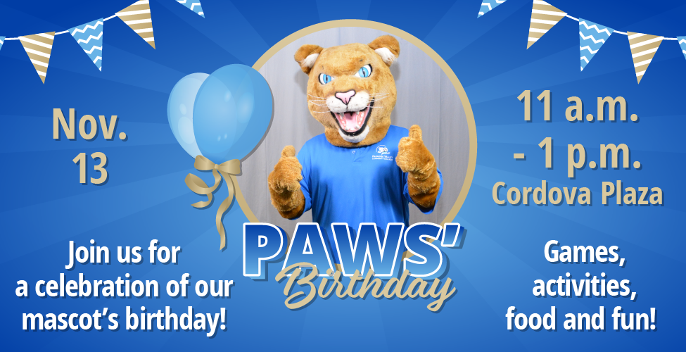 Paws' Birthday Celebration