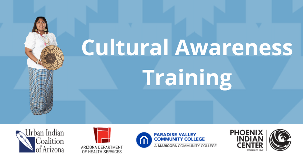 Virtual Cultural Awareness Training