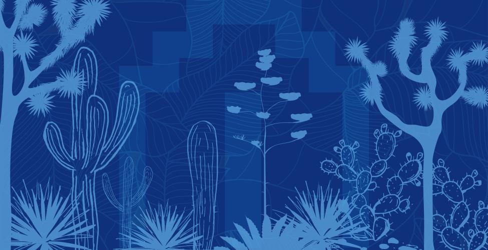 Arizona Restoration Center Workshop