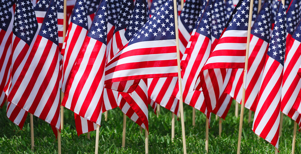 Field of Flags