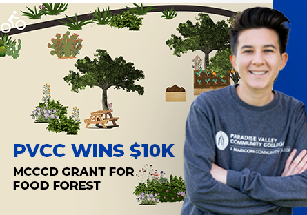 PVCC Wins $10K MCCCD Grant for Food Forest