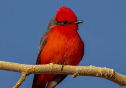 PVCC’s Faculty Brings Philosophy and Nature Together