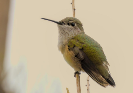 PVCC’s Faculty Brings Philosophy and Nature Together