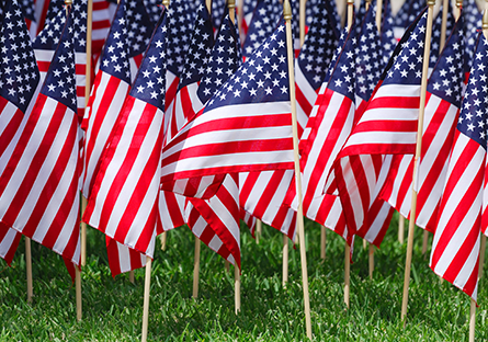 PVCC Honors Veterans with Weeklong Events and Traditions