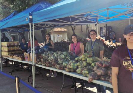 PVCC Spring Food Distributions Offer Support, Community, and Connection