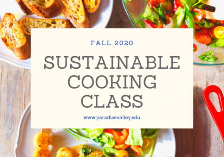 Learn how to Cook Healthily While in Lockdown Learn how to Cook Healthily While in Lockdown