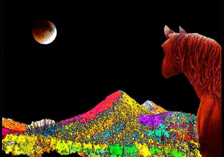 Veteran Photography Professor Debuts New Art Show at PVCC