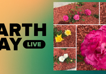 Earth Day Turns 50