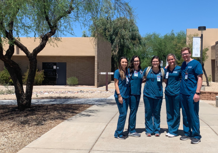 PVCC Nursing Program