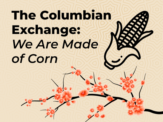 The Columbian Exchange: We are made of corn.